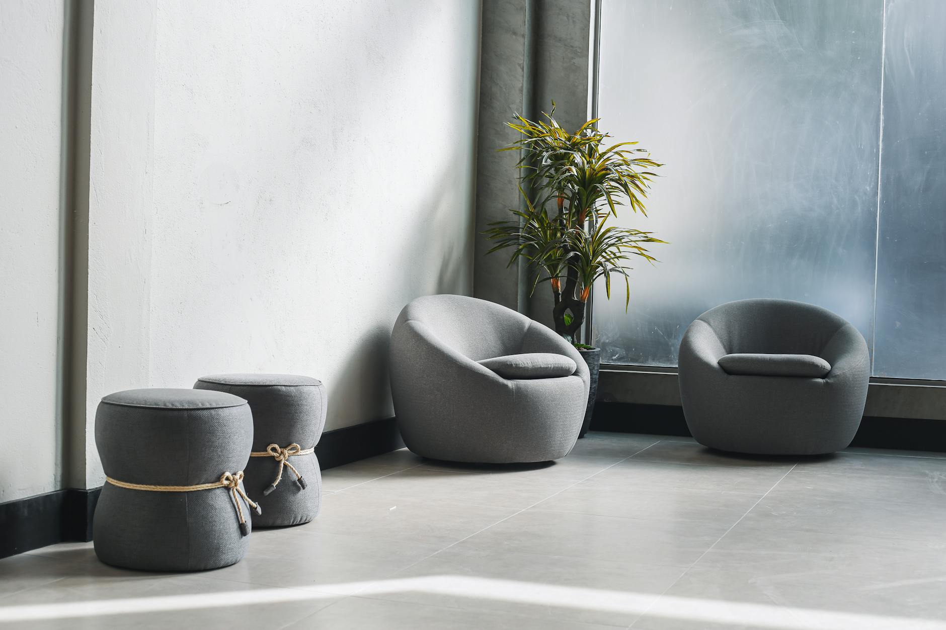 Minimalist waiting area with gray chairs, a plant, and soft natural light through large windows