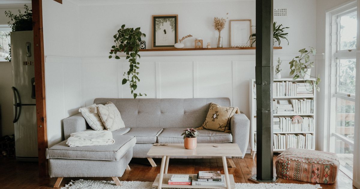 Bright and cozy living room with Scandinavian design and modern home decor, featuring a sofa and plants.