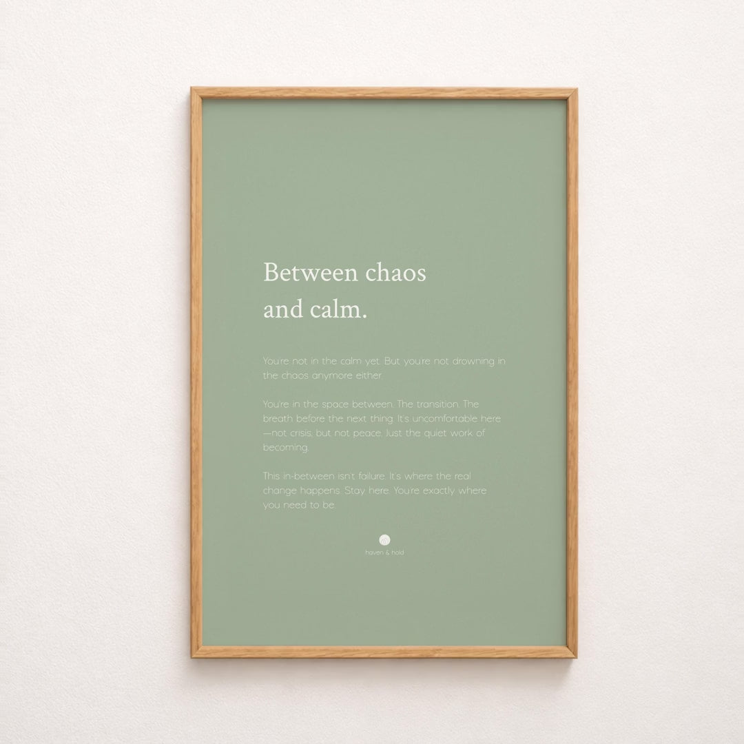 between chaos and calm print video
