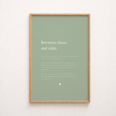 between chaos and calm print video